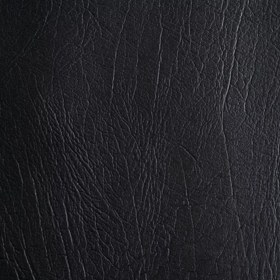 Coal Buffalo door style panel