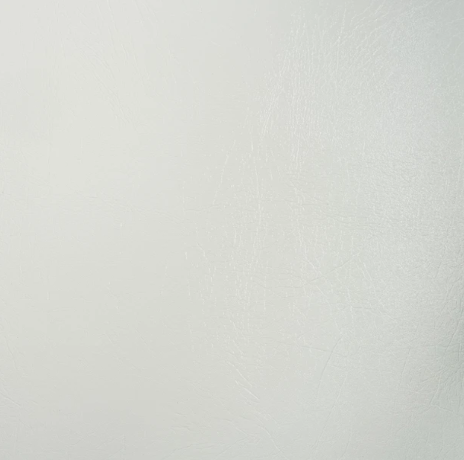 Bright White Buffalo door style panel
