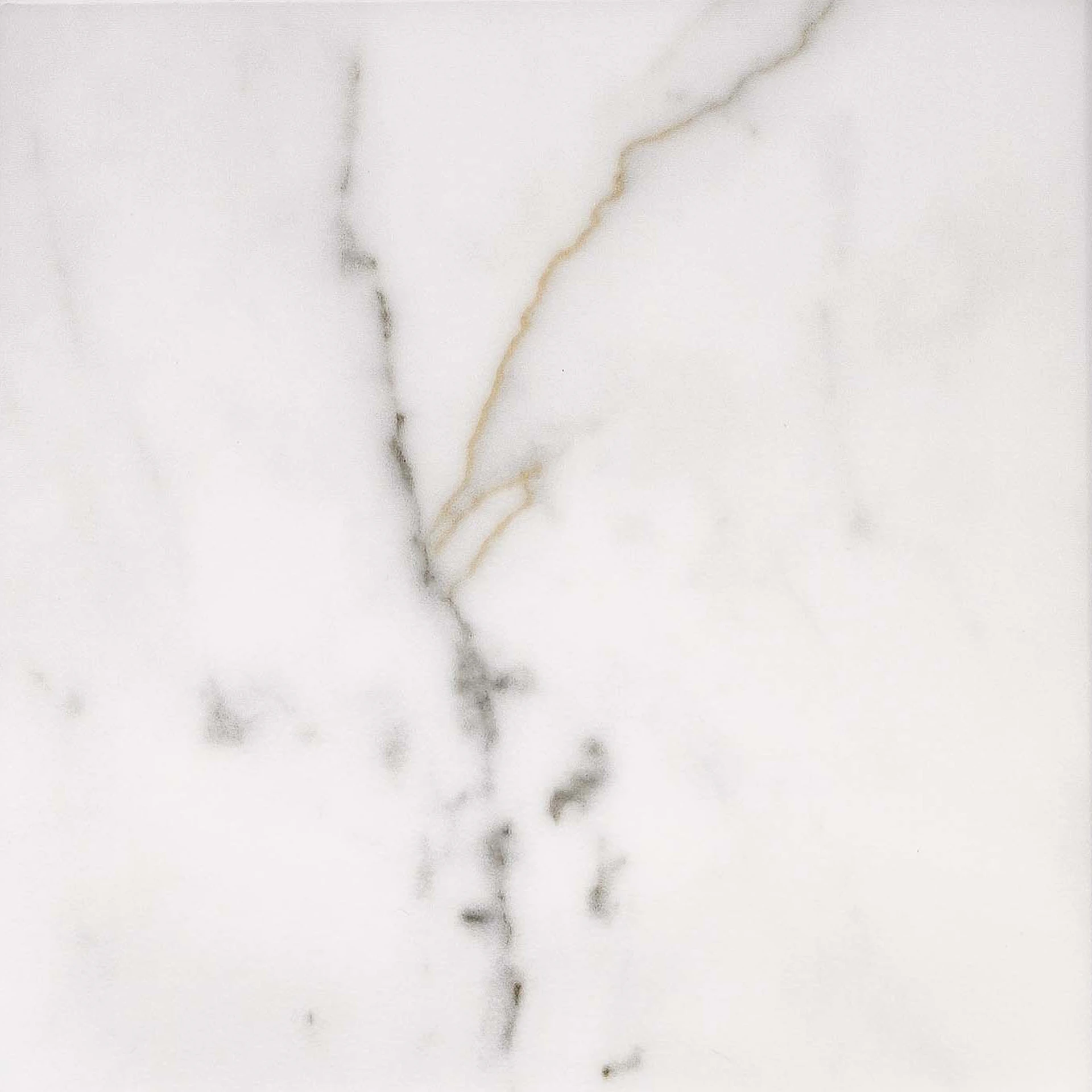 Marble door style panel