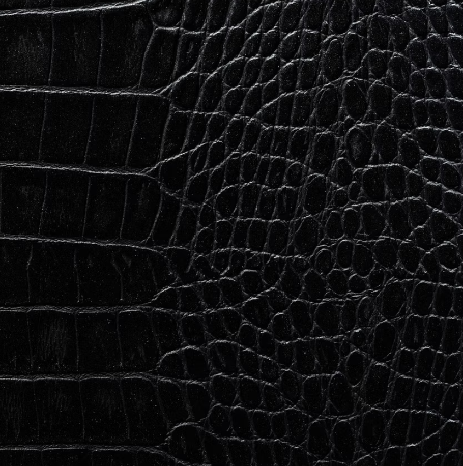 Coal Crocodile door style panel